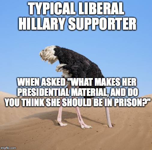 Ostrich | TYPICAL LIBERAL HILLARY SUPPORTER; WHEN ASKED "WHAT MAKES HER PRESIDENTIAL MATERIAL, AND DO YOU THINK SHE SHOULD BE IN PRISON?" | image tagged in ostrich | made w/ Imgflip meme maker