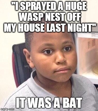 Minor Mistake Marvin | "I SPRAYED A HUGE WASP NEST OFF MY HOUSE LAST NIGHT"; IT WAS A BAT | image tagged in memes,minor mistake marvin | made w/ Imgflip meme maker