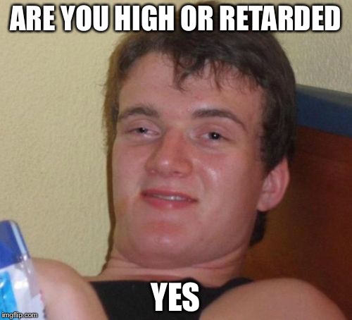 10 Guy | ARE YOU HIGH OR RETARDED; YES | image tagged in memes,10 guy | made w/ Imgflip meme maker