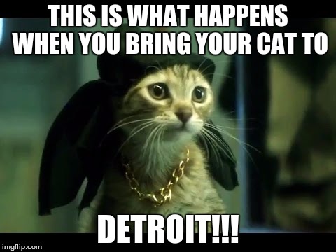 THIS IS WHAT HAPPENS WHEN YOU BRING YOUR CAT TO; DETROIT!!! | image tagged in keanu | made w/ Imgflip meme maker