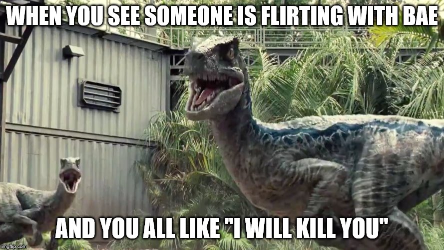 WHEN YOU SEE SOMEONE IS FLIRTING WITH BAE; AND YOU ALL LIKE "I WILL KILL YOU" | image tagged in velociraptor | made w/ Imgflip meme maker