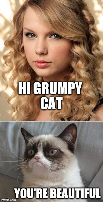 Grumpy Cat says "no" to Taylor Swift as NYC Global Welcome Ambas - Imgflip