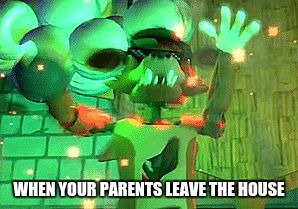 WHEN YOUR PARENTS LEAVE THE HOUSE | image tagged in bruh | made w/ Imgflip meme maker