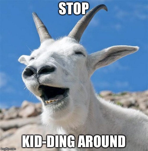Laughing Goat | STOP; KID-DING AROUND | image tagged in memes,laughing goat | made w/ Imgflip meme maker