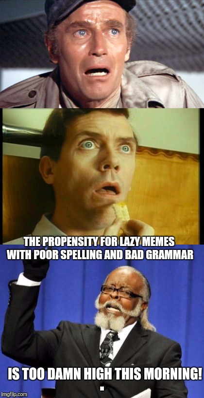 Proofread your damn meme | THE PROPENSITY FOR LAZY MEMES WITH POOR SPELLING AND BAD GRAMMAR; IS TOO DAMN HIGH THIS MORNING! | image tagged in too damn high | made w/ Imgflip meme maker