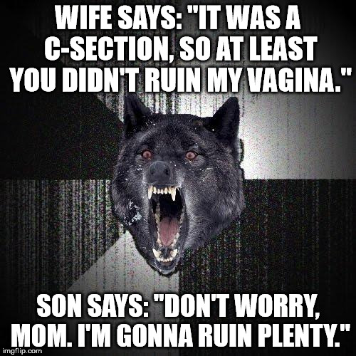 Insanity Wolf Meme | WIFE SAYS: "IT WAS A C-SECTION, SO AT LEAST YOU DIDN'T RUIN MY VAGINA."; SON SAYS: "DON'T WORRY, MOM. I'M GONNA RUIN PLENTY." | image tagged in memes,insanity wolf,AdviceAnimals | made w/ Imgflip meme maker