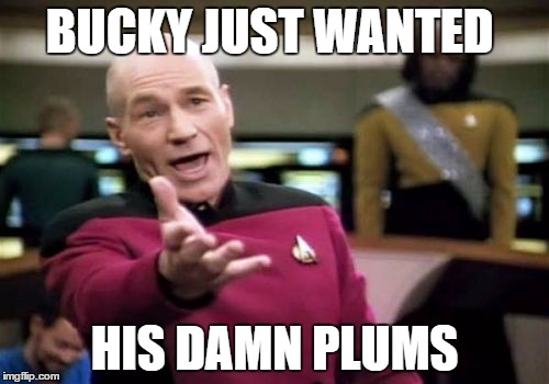 Picard Wtf Meme | BUCKY JUST WANTED; HIS DAMN PLUMS | image tagged in memes,picard wtf | made w/ Imgflip meme maker