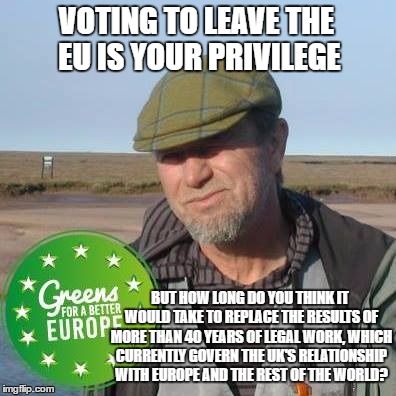 VOTING TO LEAVE THE EU IS YOUR PRIVILEGE; BUT HOW LONG DO YOU THINK IT WOULD TAKE TO REPLACE THE RESULTS OF MORE THAN 40 YEARS OF LEGAL WORK, WHICH CURRENTLY GOVERN THE UK'S RELATIONSHIP WITH EUROPE AND THE REST OF THE WORLD? | image tagged in green european | made w/ Imgflip meme maker