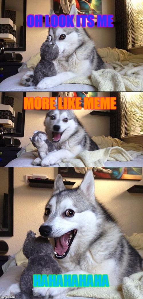 Bad Pun Dog | OH LOOK ITS ME; MORE LIKE MEME; HAHAHAHAHA | image tagged in memes,bad pun dog | made w/ Imgflip meme maker