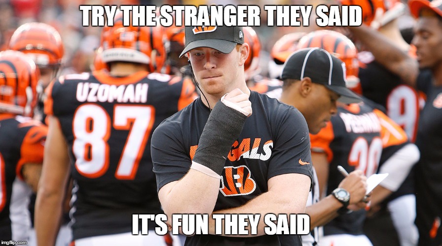 TRY THE STRANGER THEY SAID; IT'S FUN THEY SAID | made w/ Imgflip meme maker
