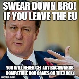 David Cameron | SWEAR DOWN BRO! IF YOU LEAVE THE EU; YOU WILL NEVER GET ANY BACKWARDS COMPATIBLE COD GAMES ON THE XBOX1 | image tagged in david cameron | made w/ Imgflip meme maker