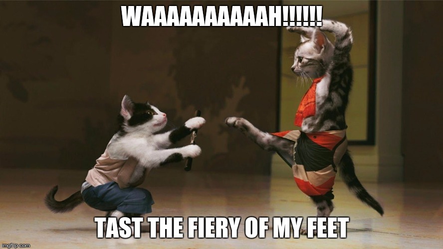Kung Fu Cats | WAAAAAAAAAAH!!!!!! TAST THE FIERY OF MY FEET | image tagged in kung fu cats | made w/ Imgflip meme maker