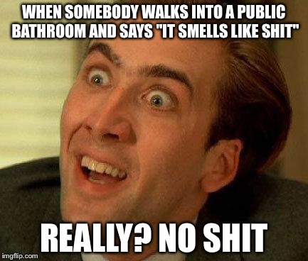 you don't say | WHEN SOMEBODY WALKS INTO A PUBLIC BATHROOM AND SAYS "IT SMELLS LIKE SHIT"; REALLY? NO SHIT | image tagged in you don't say | made w/ Imgflip meme maker
