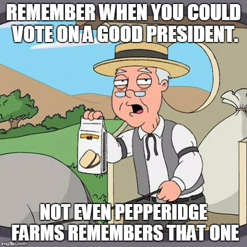 Pepperidge Farm Remembers | REMEMBER WHEN YOU COULD VOTE ON A GOOD PRESIDENT. NOT EVEN PEPPERIDGE FARMS REMEMBERS THAT ONE | image tagged in memes,pepperidge farm remembers | made w/ Imgflip meme maker