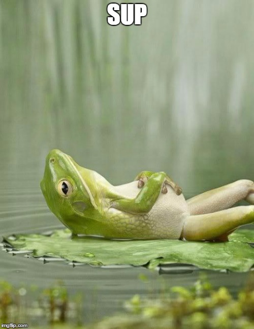 ChillinFrog | SUP | image tagged in chillinfrog | made w/ Imgflip meme maker