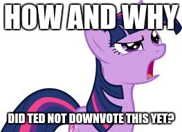 twilight confused | HOW AND WHY DID TED NOT DOWNVOTE THIS YET? | image tagged in twilight confused | made w/ Imgflip meme maker