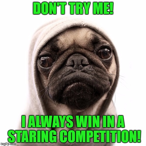 DO NOT DARE TRY ME! | DON'T TRY ME! I ALWAYS WIN IN A STARING COMPETITION! | image tagged in don't try me | made w/ Imgflip meme maker