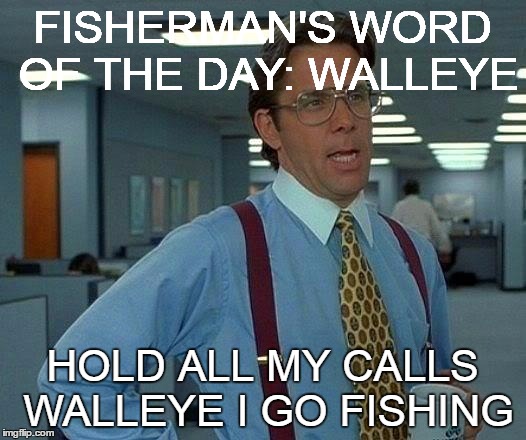 That Would Be Great Meme | FISHERMAN'S WORD OF THE DAY: WALLEYE; HOLD ALL MY CALLS WALLEYE I GO FISHING | image tagged in memes,that would be great | made w/ Imgflip meme maker