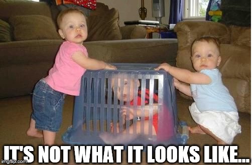Caught red handed | IT'S NOT WHAT IT LOOKS LIKE... | image tagged in memes,kids,funny kids | made w/ Imgflip meme maker