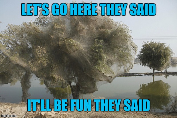 LET'S GO HERE THEY SAID IT'LL BE FUN THEY SAID | made w/ Imgflip meme maker