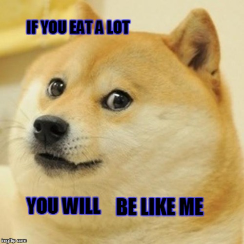 Doge Meme | IF YOU EAT A LOT; YOU WILL; BE LIKE ME | image tagged in memes,doge | made w/ Imgflip meme maker