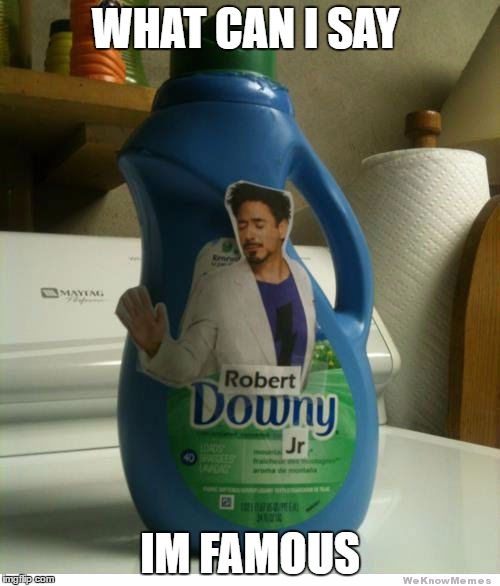 WHAT CAN I SAY; IM FAMOUS | image tagged in robert downey jr | made w/ Imgflip meme maker