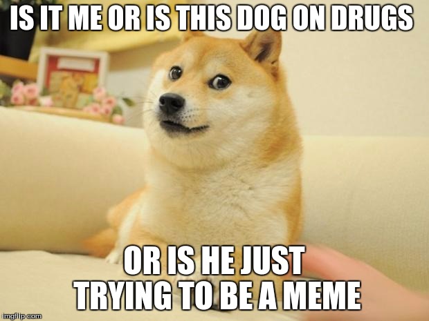 dodge | IS IT ME OR IS THIS DOG ON DRUGS; OR IS HE JUST TRYING TO BE A MEME | image tagged in dodge | made w/ Imgflip meme maker