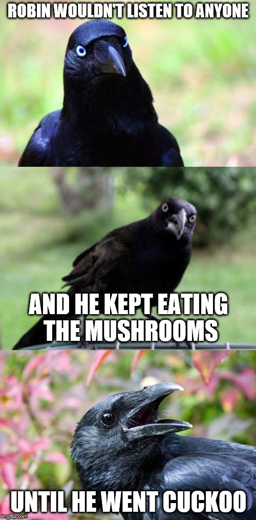 bad pun crow | ROBIN WOULDN'T LISTEN TO ANYONE; AND HE KEPT EATING THE MUSHROOMS; UNTIL HE WENT CUCKOO | image tagged in bad pun crow | made w/ Imgflip meme maker