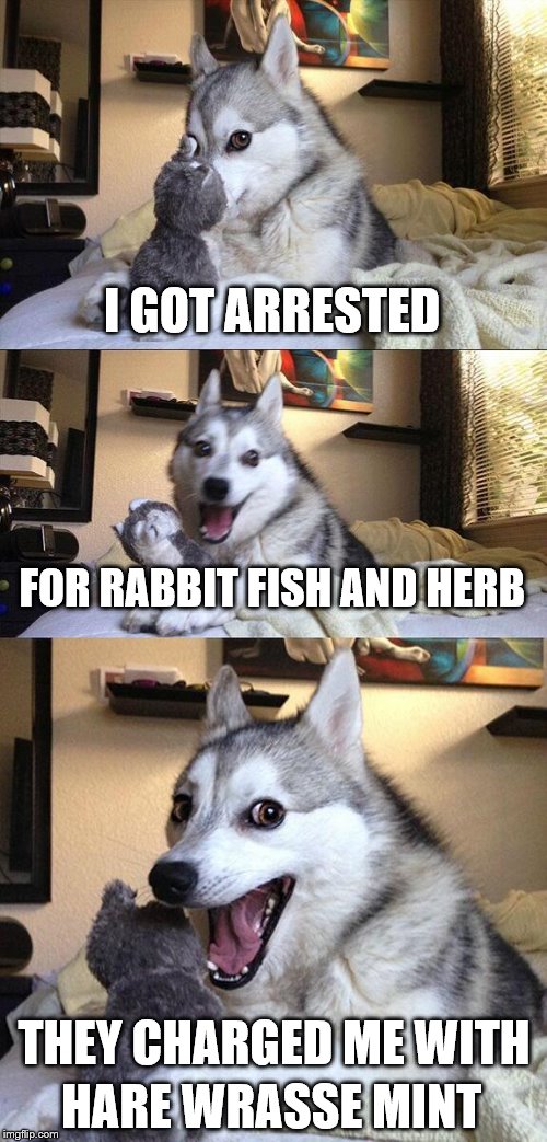 Bad Pun Dog | I GOT ARRESTED; FOR RABBIT FISH AND HERB; THEY CHARGED ME WITH; HARE WRASSE MINT | image tagged in memes,bad pun dog | made w/ Imgflip meme maker