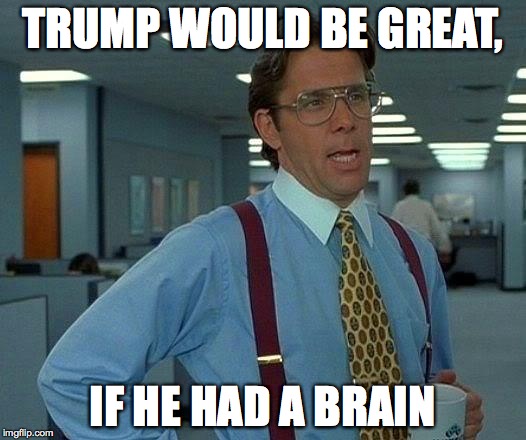 That Would Be Great Meme | TRUMP WOULD BE GREAT, IF HE HAD A BRAIN | image tagged in memes,that would be great | made w/ Imgflip meme maker