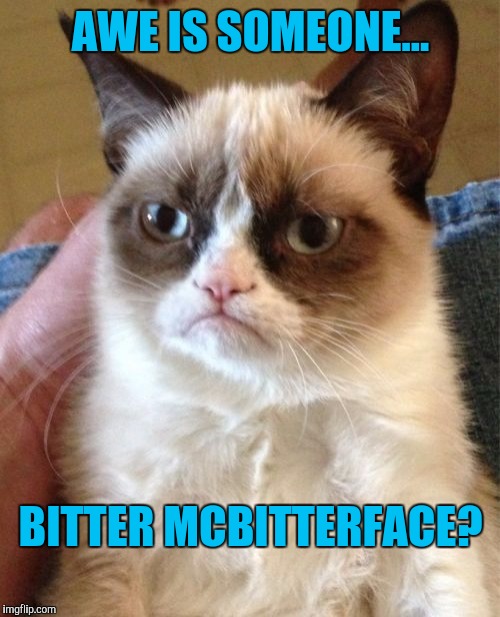 Grumpy Cat Meme | AWE IS SOMEONE... BITTER MCBITTERFACE? | image tagged in memes,grumpy cat | made w/ Imgflip meme maker