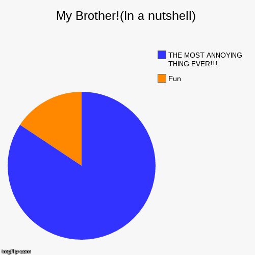 image tagged in funny,pie charts | made w/ Imgflip chart maker