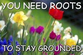 Roots | YOU NEED ROOTS; TO STAY GROUNDED | image tagged in flowers | made w/ Imgflip meme maker