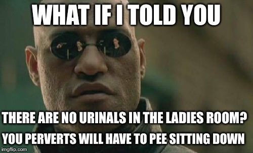 To Hellena Handbasket Itellya! | WHAT IF I TOLD YOU; THERE ARE NO URINALS IN THE LADIES ROOM? YOU PERVERTS WILL HAVE TO PEE SITTING DOWN | image tagged in memes,matrix morpheus,transgender bathroom | made w/ Imgflip meme maker