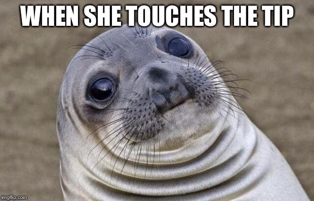 Awkward Moment Sealion | WHEN SHE TOUCHES THE TIP | image tagged in memes,awkward moment sealion | made w/ Imgflip meme maker
