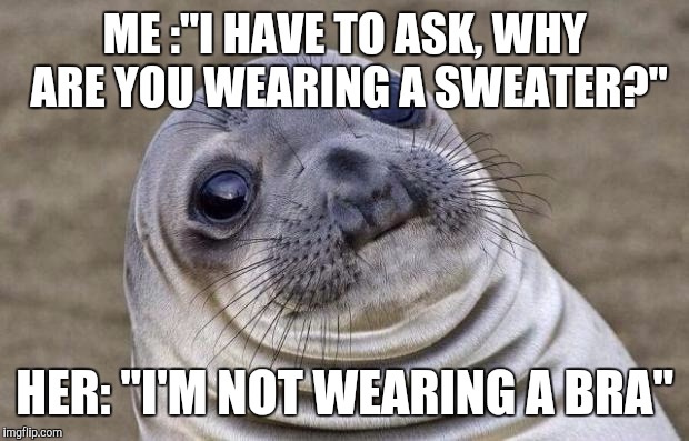 Awkward Moment Sealion | ME :"I HAVE TO ASK, WHY ARE YOU WEARING A SWEATER?"; HER: "I'M NOT WEARING A BRA" | image tagged in memes,awkward moment sealion | made w/ Imgflip meme maker