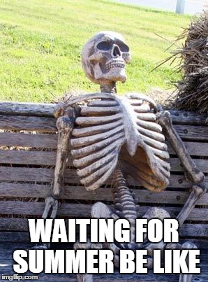 Waiting Skeleton Meme | WAITING FOR SUMMER BE LIKE | image tagged in memes,waiting skeleton | made w/ Imgflip meme maker
