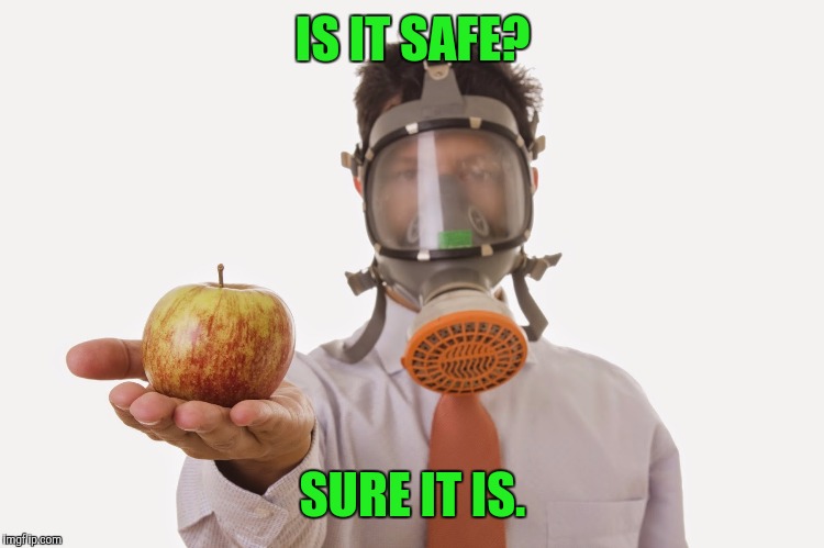 IS IT SAFE? SURE IT IS. | made w/ Imgflip meme maker