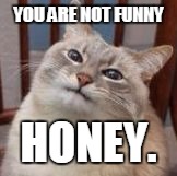 Cats are maniacs | YOU ARE NOT FUNNY; HONEY. | image tagged in cats are maniacs | made w/ Imgflip meme maker