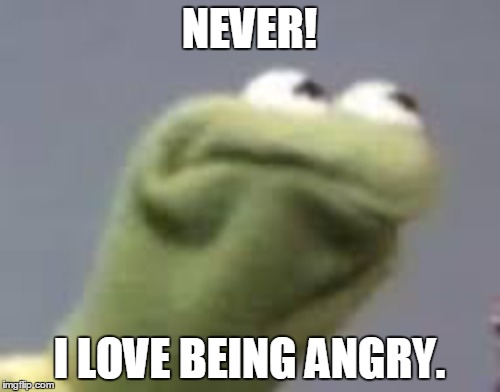 NEVER! I LOVE BEING ANGRY. | made w/ Imgflip meme maker