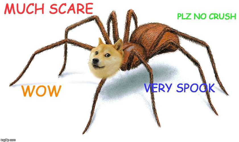 Much Spoopy | MUCH SCARE; PLZ NO CRUSH; VERY SPOOK; WOW | image tagged in doge,funny memes,memes,spider,much wow | made w/ Imgflip meme maker