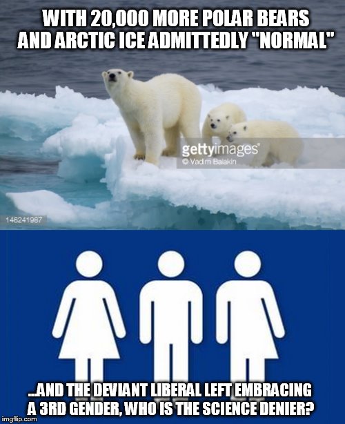 SCIENCE DENIERS | WITH 20,000 MORE POLAR BEARS AND ARCTIC ICE ADMITTEDLY "NORMAL"; ...AND THE DEVIANT LIBERAL LEFT EMBRACING A 3RD GENDER, WHO IS THE SCIENCE DENIER? | image tagged in science | made w/ Imgflip meme maker