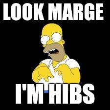 Look Marge | LOOK MARGE; I'M HIBS | image tagged in look marge | made w/ Imgflip meme maker