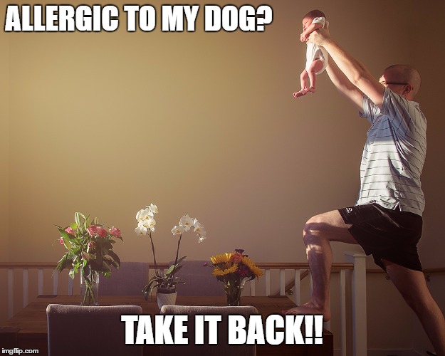 Dog Lovers | ALLERGIC TO MY DOG? TAKE IT BACK!! | image tagged in simba lift,baby,dog,no | made w/ Imgflip meme maker