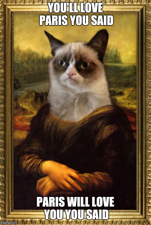 Grumpy Mona Lisa | YOU'LL LOVE PARIS YOU SAID; PARIS WILL LOVE YOU YOU SAID | image tagged in mona lisa | made w/ Imgflip meme maker