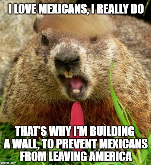 Woodchuck Trump | I LOVE MEXICANS, I REALLY DO; THAT'S WHY I'M BUILDING A WALL, TO PREVENT MEXICANS FROM LEAVING AMERICA | image tagged in donald trump,donald trumph hair,trump 2016,woodchuck,mexico,mexican | made w/ Imgflip meme maker