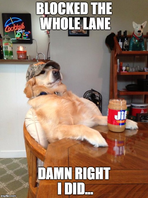 redneck dog | BLOCKED THE WHOLE LANE; DAMN RIGHT I DID... | image tagged in redneck dog | made w/ Imgflip meme maker