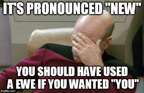 Captain Picard Facepalm Meme | IT'S PRONOUNCED "NEW" YOU SHOULD HAVE USED A EWE IF YOU WANTED "YOU" | image tagged in memes,captain picard facepalm | made w/ Imgflip meme maker