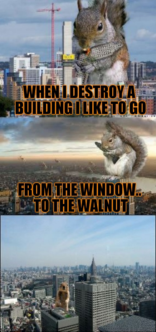 Till the sweat drips from my paws... |  WHEN I DESTROY A BUILDING I LIKE TO GO; FROM THE WINDOW.. TO THE WALNUT | image tagged in bad pun squirrelkongzilla | made w/ Imgflip meme maker