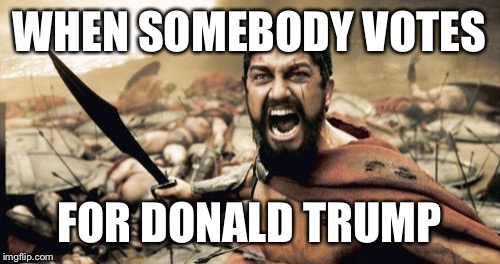 Sparta Leonidas | WHEN SOMEBODY VOTES; FOR DONALD TRUMP | image tagged in memes,sparta leonidas | made w/ Imgflip meme maker